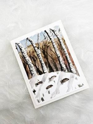 Birch Trees