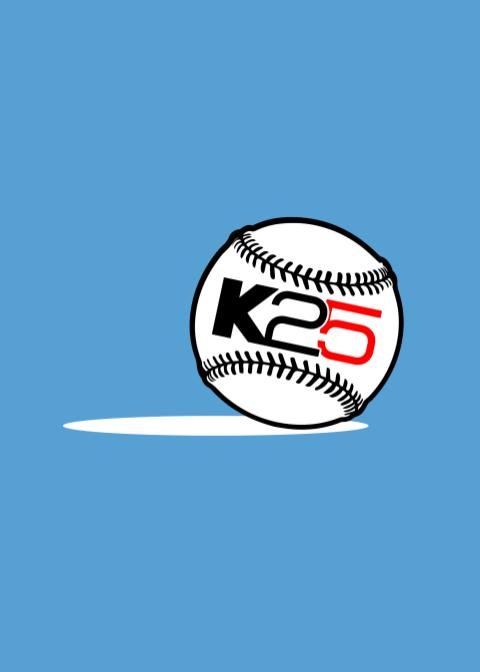 K25 Ball Can Cooler